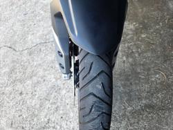 2023 Triumph TIGER 900 RALLY WHITE