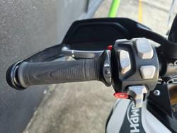 2023 Triumph TIGER 900 RALLY WHITE