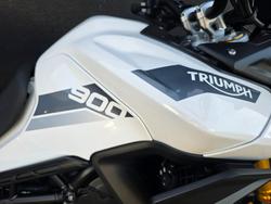 2023 Triumph TIGER 900 RALLY WHITE