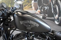 2017 HARLEY-DAVIDSON XL883N IRON 883