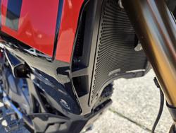 2025 Ducati Desert X Rally