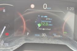 2019 Toyota RAV4 Cruiser