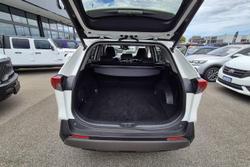 2019 Toyota RAV4 Cruiser