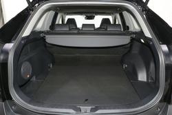 2025 Toyota RAV4 Cruiser