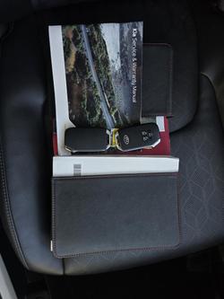 2020 Kia Carnival Platinum KA4 MY21 Panthera Metal