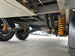 2022 Aussie Rider Royal Dream