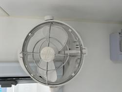 2022 Aussie Rider Royal Dream