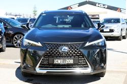 2024 Lexus UX 250h Sport Luxury