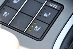 2024 Lexus UX 250h Sport Luxury