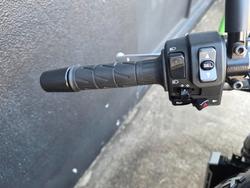 2022 Kawasaki Z900RS (ZR900C) GREEN