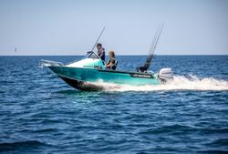 2024 Surtees 495 Workmate