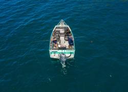 2024 Surtees 495 Workmate