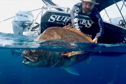 2024 Surtees 495 Workmate