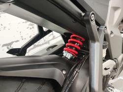 2026 Triumph Daytona 660 LAMS Daytona Black