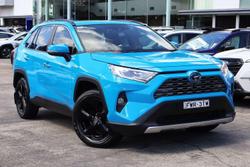 2019 Toyota RAV4 Cruiser