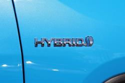 2019 Toyota RAV4 Cruiser