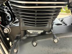 2024 Triumph BONNEVILLE SPEED TWIN Green