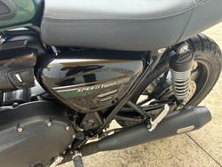 2024 Triumph BONNEVILLE SPEED TWIN Green