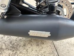 2024 Triumph BONNEVILLE SPEED TWIN Green