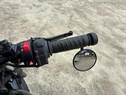 2024 Triumph BONNEVILLE SPEED TWIN Green