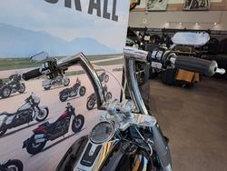 2023 HARLEY-DAVIDSON FLFBS FAT BOY S (114)