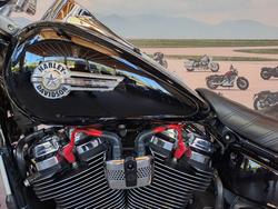 2023 HARLEY-DAVIDSON FLFBS FAT BOY S (114)