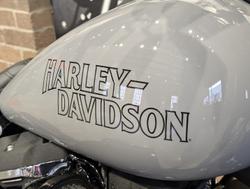 2025 Harley-Davidson Low Rider S 117 (FXLRS) Softail