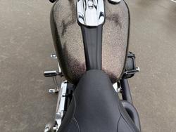 2016 HARLEY-DAVIDSON FXSB SOFTAIL BREAKOUT Gold