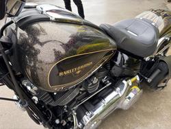 2016 HARLEY-DAVIDSON FXSB SOFTAIL BREAKOUT Gold