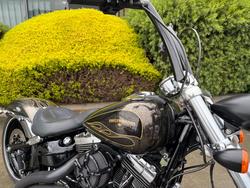 2016 HARLEY-DAVIDSON FXSB SOFTAIL BREAKOUT Gold