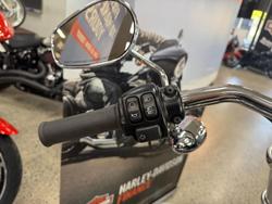2017 Harley-Davidson Dyna Low Rider 103 (FXDL) Dyna