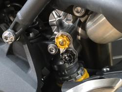 2016 TRIUMPH SPEED 94 Yellow