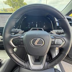 2025 Lexus RX 450h+ Sports Luxury