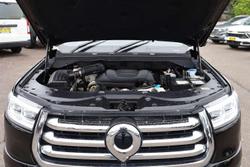 2023 GWM Ute Cannon-X