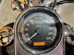 2011 HARLEY-DAVIDSON FXST SOFTAIL STANDARD