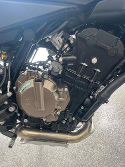 2024 HUSQVARNA 2024 HUSQVARNA 800CC SVARTPILEN 801 GREY