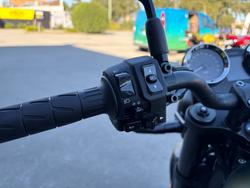 2019 Kawasaki Z900 (ZR900) Green