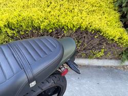 2019 Kawasaki Z900 (ZR900) Green