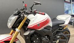 2010 Yamaha FZ1N