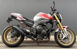 2010 Yamaha FZ1N