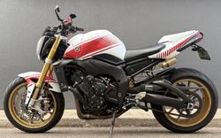2010 Yamaha FZ1N