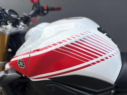 2010 Yamaha FZ1N