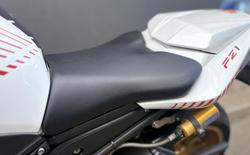 2010 Yamaha FZ1N