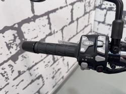 2026 Kawasaki Z900RS (Z900C) Z Red