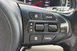 2017 Kia Carnival Platinum