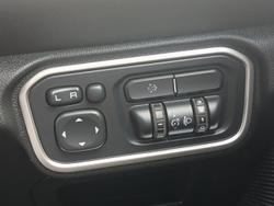 2024 GWM Ute Cannon-L CC