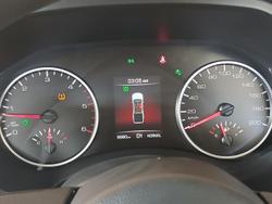 2024 GWM Ute Cannon-L CC