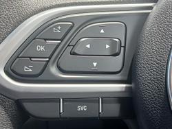 2024 GWM Ute Cannon-L CC