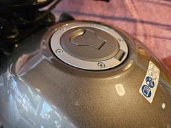 2023 Honda CMX500 CMX Grey