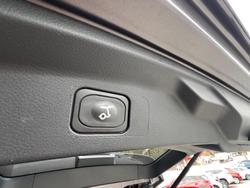 2024 Ford Everest Trend